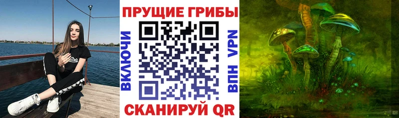 Галлюциногенные грибы MAGIC MUSHROOMS  Кудымкар 