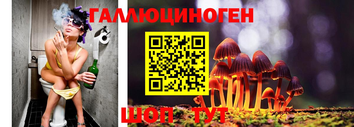 Псилоцибиновые грибы прущие грибы Кудымкар