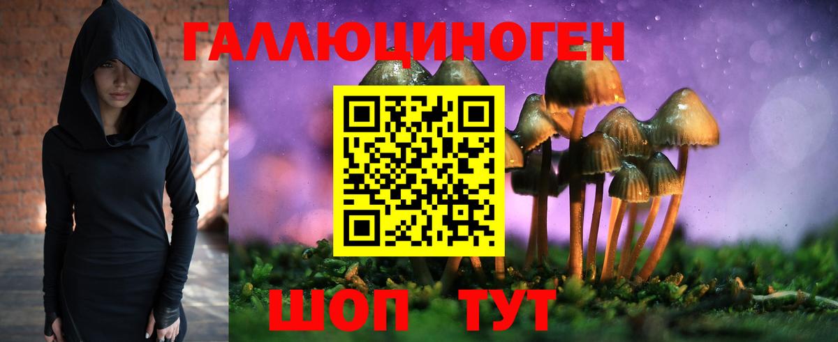 Кудымкар  Галлюциногенные грибы Cubensis  Вход с VPN 