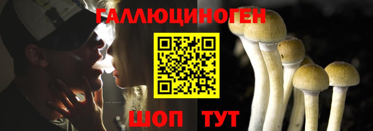 Псилоцибиновые грибы MAGIC MUSHROOMS  купить наркотик  Псилоцибиновые грибы Magic Shrooms  Кудымкар 